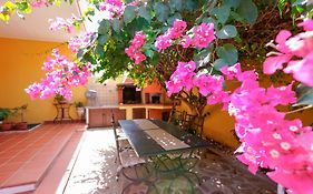 B&B Il Piccolo Giardino